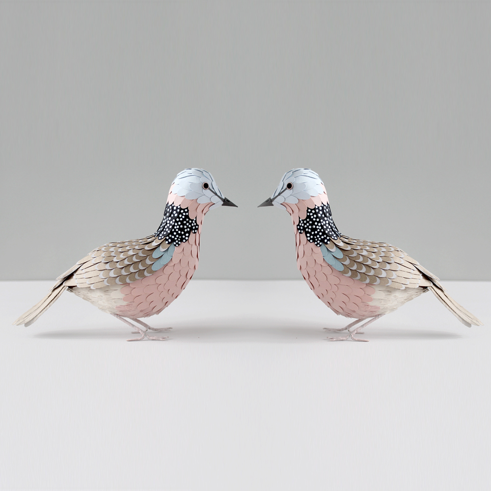 Sarah Louise Matthews 3D Paper Engineered Spotted Dove Birds