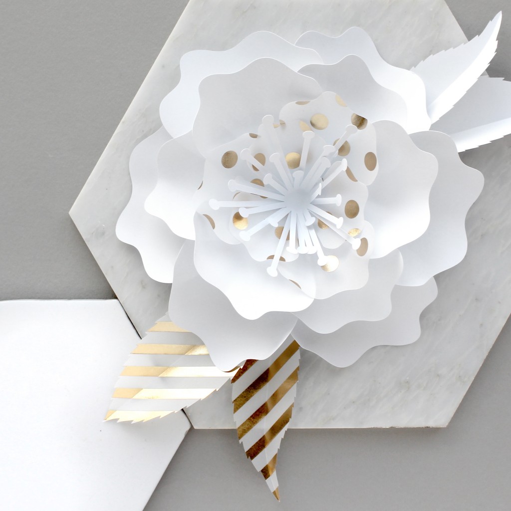 Paper Flowers Sarah Louise Matthews