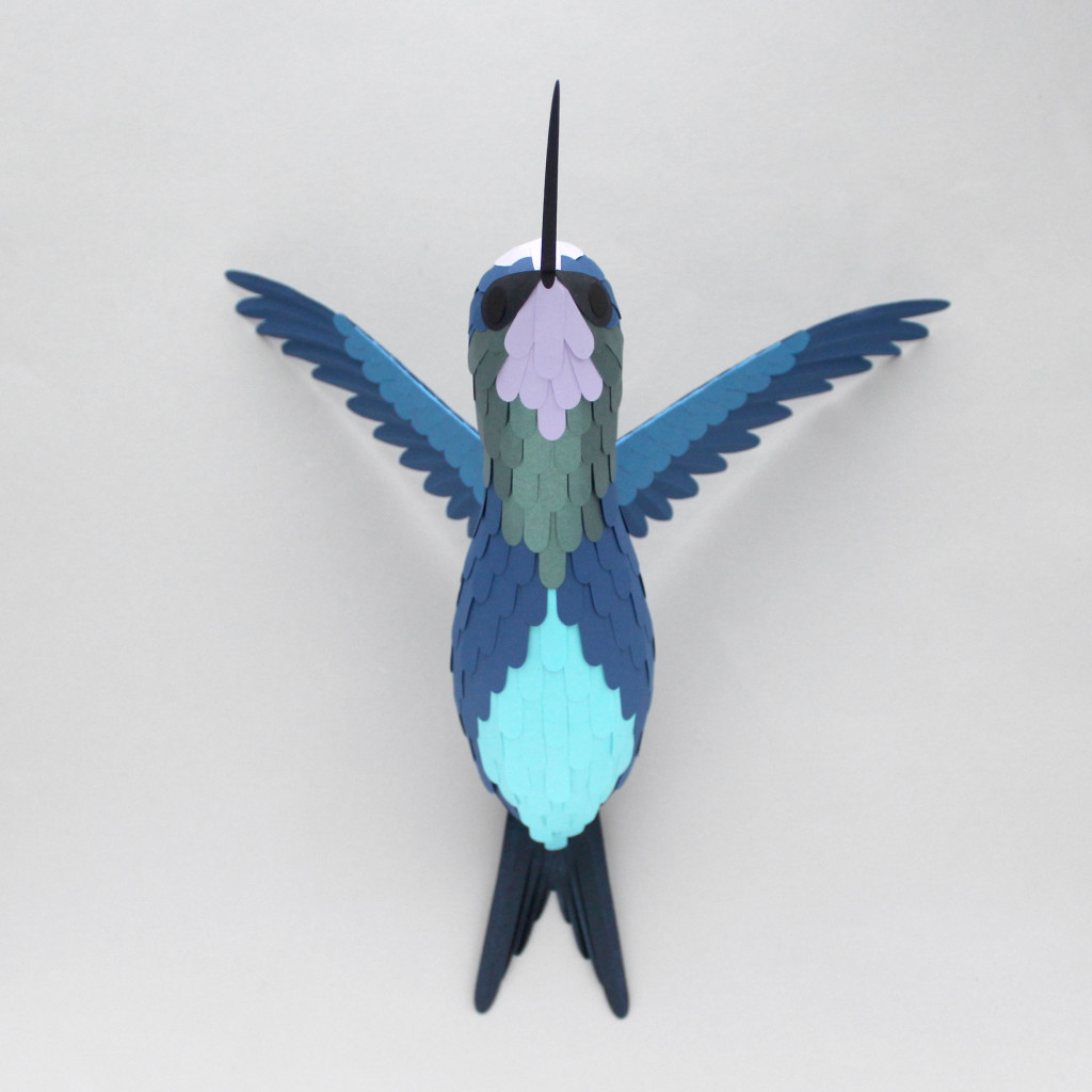 Sarah Louise Matthews 3D Paper Engineered Tropical Hummingbird Bird