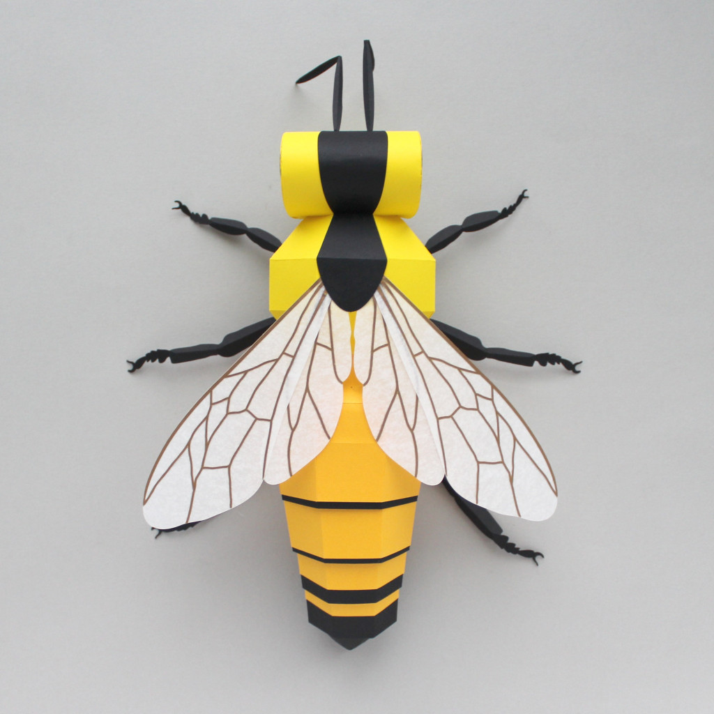 Sarah Louise Matthews 3D Paper Engineering Bee Insect